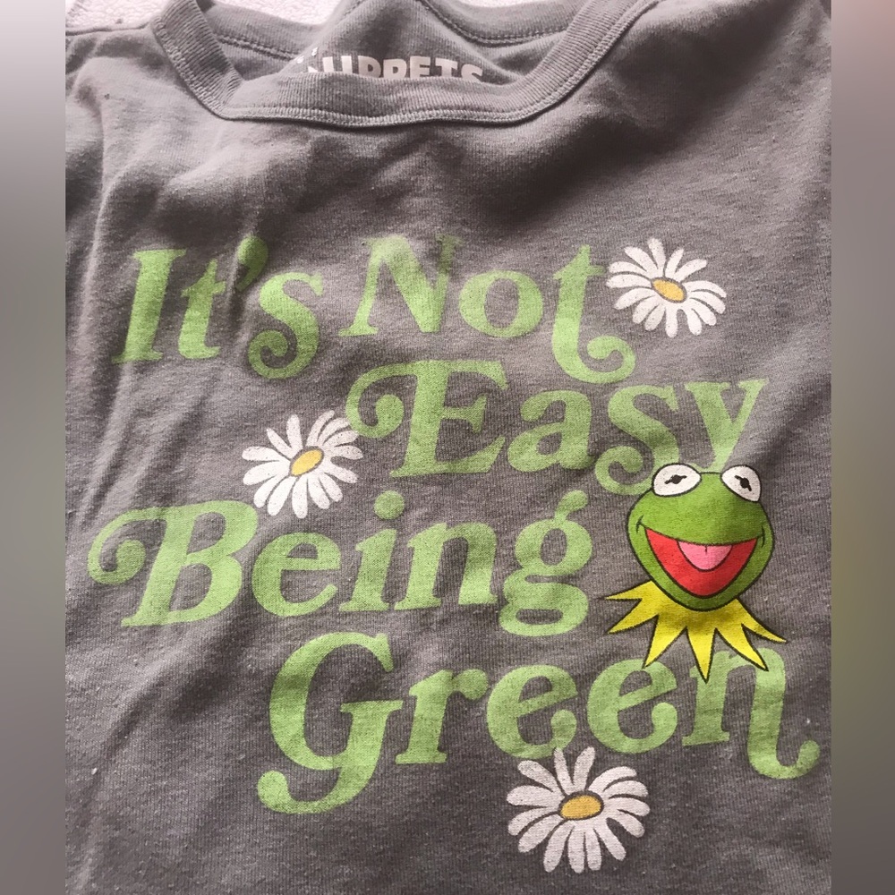 The Muppets grey small women’s shirt with graphic print